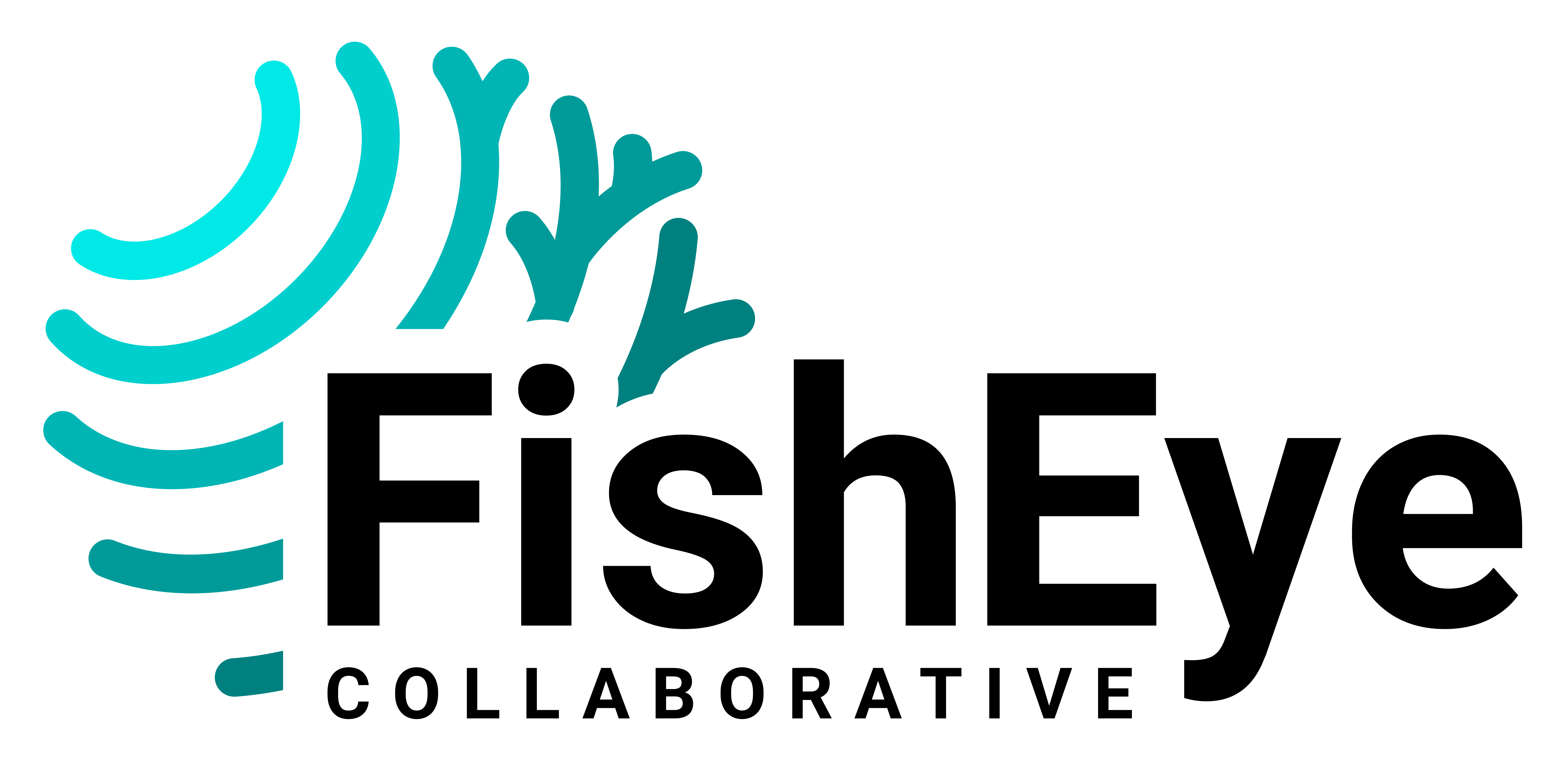 logo of FishEye Collaborative